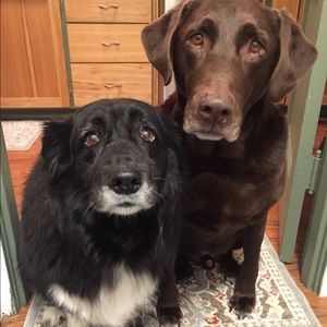 Meet your Posher, Amy